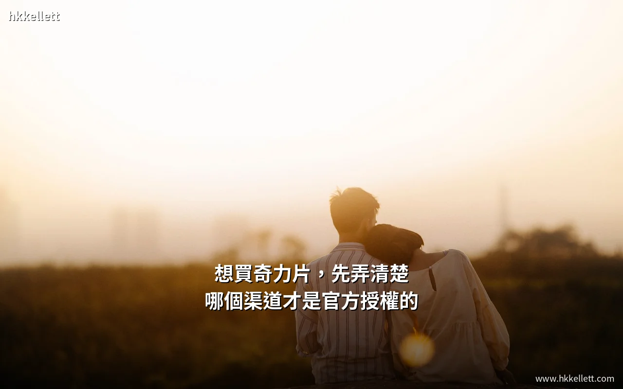 想買奇力片先弄清楚哪個渠道才是官方授權的